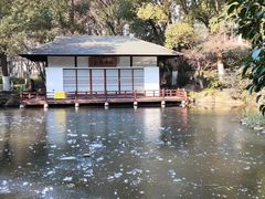 -新洲生态园