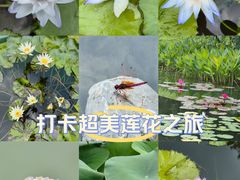 -云溪植物园