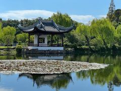 -无锡蠡湖国家湿地公园-蠡园