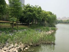-南翔镇银翔湖公园