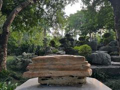 -东莞植物园