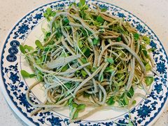 豆腐丝拌香椿苗-集市口(西红门宜家店)