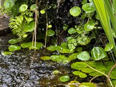 -鹿野苑石刻艺术博物馆