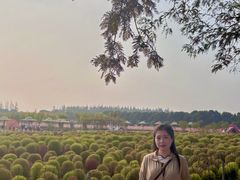 -嘉北郊野公园