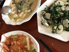 -品雅轩农家乐