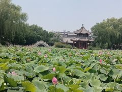 -莲池书院博物馆