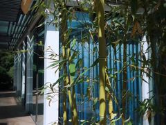 -春晖园度假酒店温泉