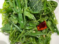 山胡椒油丝瓜尖-匠熙小馆(崇文门店)