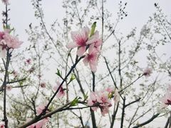 -白塘生态植物园