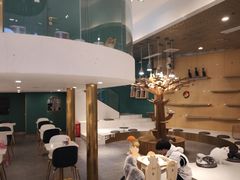 -飞行喵MR PILOT|猫舍·猫咖(静安大融城店)