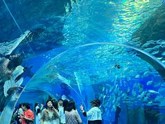 -波塞冬旅游度假区