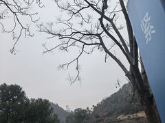 -桃花岭景区