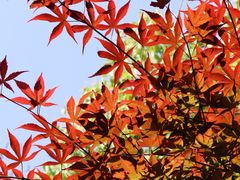 -杭州半山国家森林公园