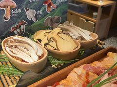 -季季山•云南野生菌火锅(上海首店)