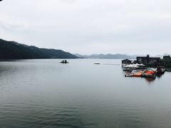 -千岛湖品鱼馆(钓鱼岛店)