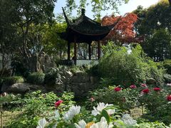-上海醉白池公园