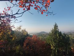 -北京十三陵国家森林公园蟒山景区