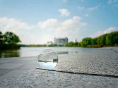 -东华大学(松江校区)