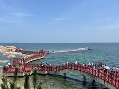 -养马岛旅游度假区