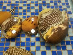 -雅盛品931海鲜酒家