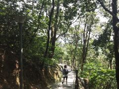 -红花湖景区