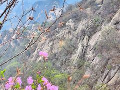 -丹东凤凰山景区