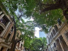 -星巴克臻选(广州沙面店)