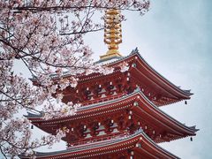 -浅草寺