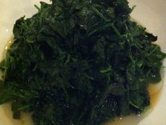 炒豆苗-福1039(愚园路店)