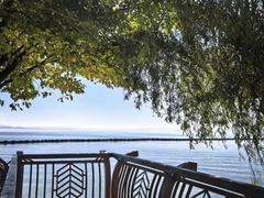 -五甲塘生态湿地公园