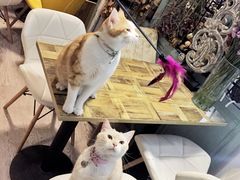 -小时光咖啡馆(北锣鼓巷店)