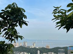-板樟山森林公园