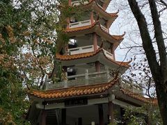 -三门江国家森林公园