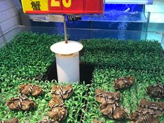 -沃尔玛(中山北路店)