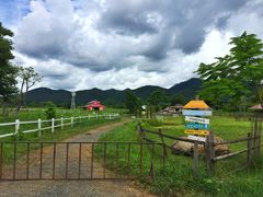 -黄色小屋