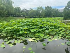 -石湖景区