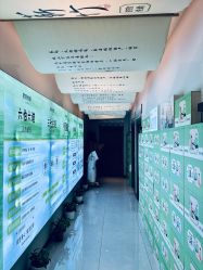 -阅年轻·AI家庭健康体质调理