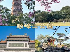 -顺峰山公园