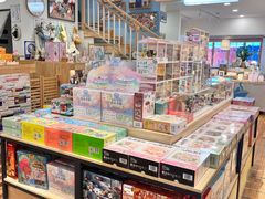-猫的天空之城概念书店(束河店)