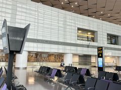 -郑州新郑国际机场-T2航站楼