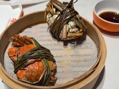 -杨氏青龙虾·羊蝎子(托乐嘉店)