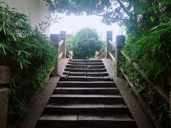 -黎里古镇