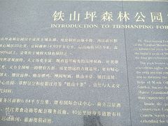 -铁山坪森林公园