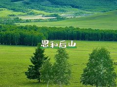 -呼伦贝尔大草原