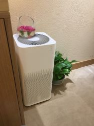-一本X目奈子日式单根美睫专业店