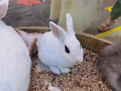 -思诺卡儿童俱乐部(东方广场店)