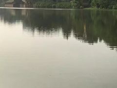-西双版纳傣族园