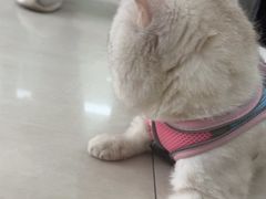 -天宠宠物医院24小时·急重症诊疗中心·全科·腔镜特色(和平分院)