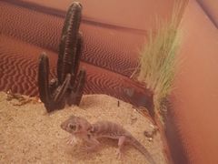 -常州海昌海洋探索馆