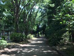 -三鹰之森吉卜力美术馆